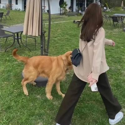 游戏人生