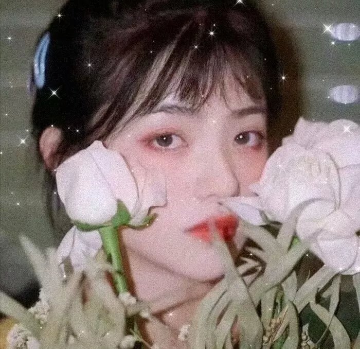 胡说，哪有什么吸血鬼！